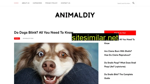 animaldiy.com alternative sites