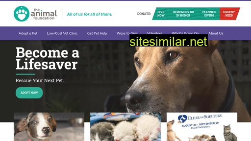 animalfoundation.com alternative sites