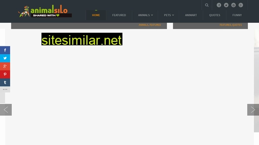 animalsilo.com alternative sites