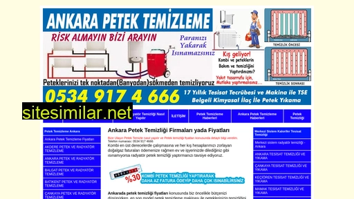 Ankara-petektemizligi similar sites