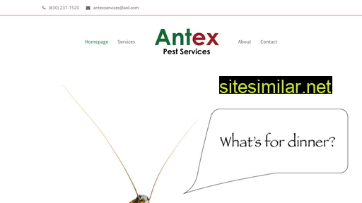 antexpestservices.com alternative sites