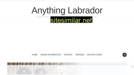 anythinglabrador.com alternative sites