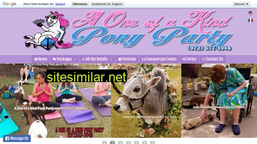 Aoneofakindponyparty similar sites