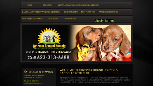 arizonagroundhounds.com alternative sites