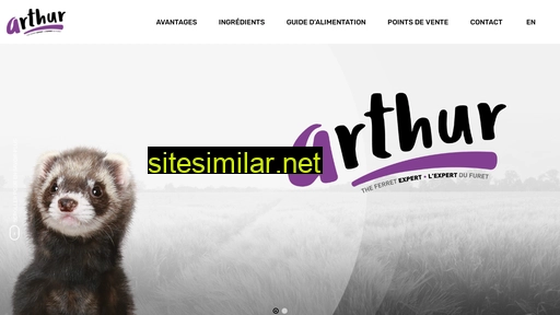 arthurexpertfuret.com alternative sites
