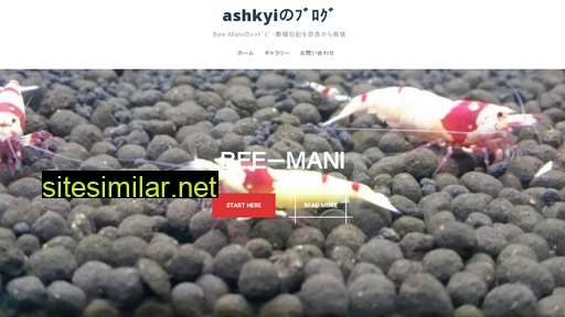 ashkyi.com alternative sites