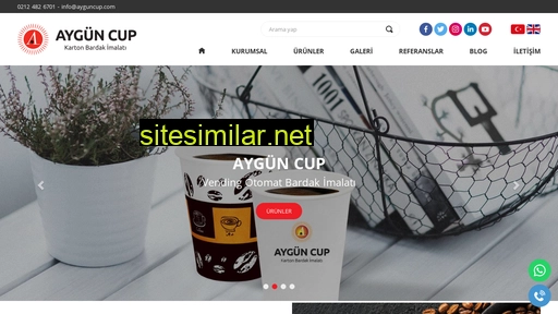 ayguncup.com alternative sites
