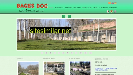 Bagesdog similar sites