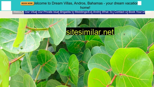 bahamasdreamvillasandros.com alternative sites