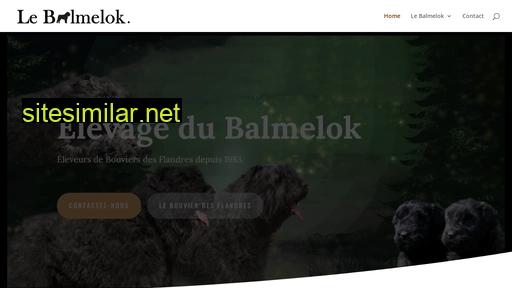 balmelok.com alternative sites