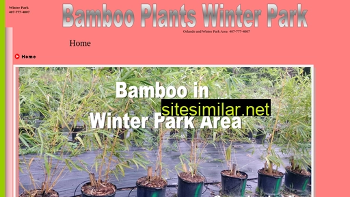 bambooplantswinterpark.com alternative sites