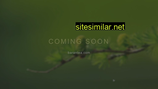 barantea.com alternative sites