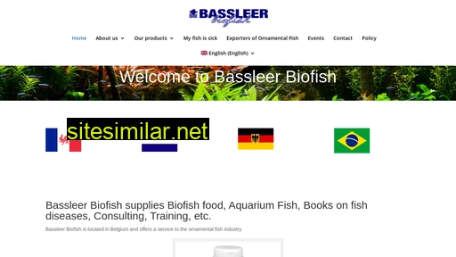 bassleer.com alternative sites