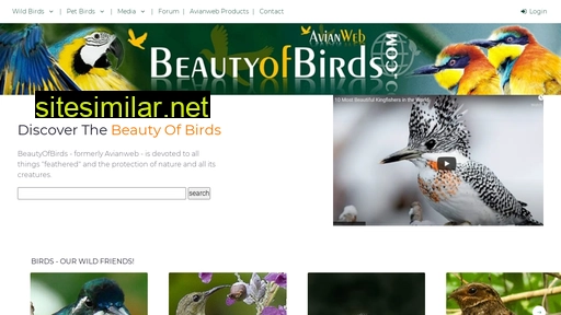 Beautyofbirds similar sites