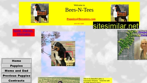 beesntees.com alternative sites