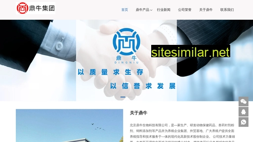 beijingdingniu.com alternative sites
