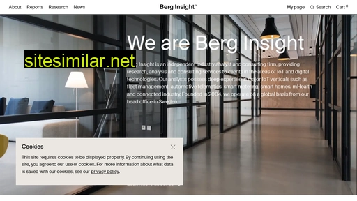 berginsight.com alternative sites