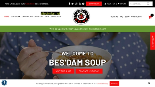 besdamsoup.com alternative sites