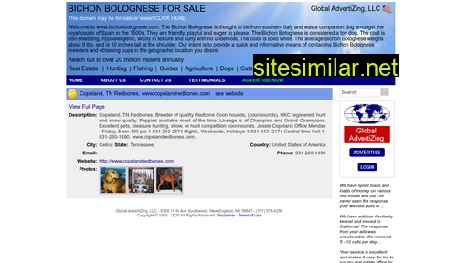 bichonbolognese.com alternative sites