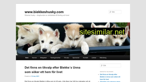 biekkeshusky.com alternative sites