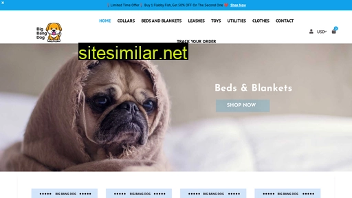 bigbangdog.com alternative sites