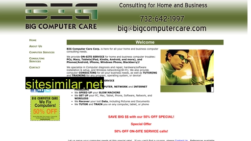 bigcomputercare.com alternative sites