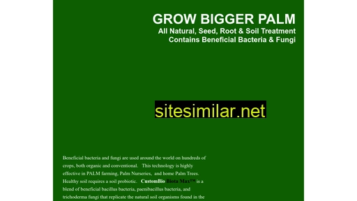 biggerpalm.com alternative sites