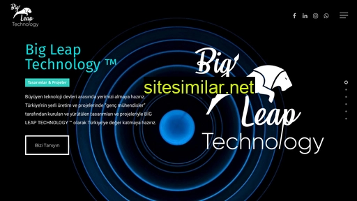 bigleaptechnology.com alternative sites