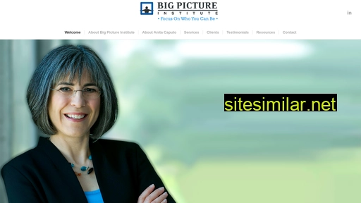 bigpictureinstitute.com alternative sites