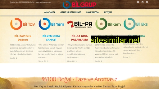 bilgrup.com alternative sites