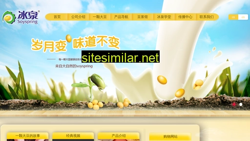 bingquan.com alternative sites