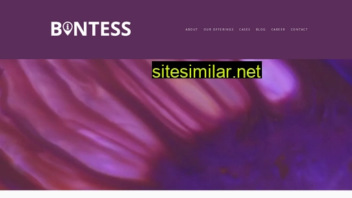 bintess.com alternative sites