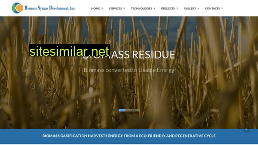 biosyngasdev.com alternative sites