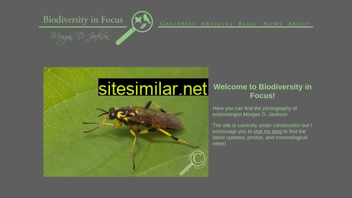 biodiversityinfocus.com alternative sites