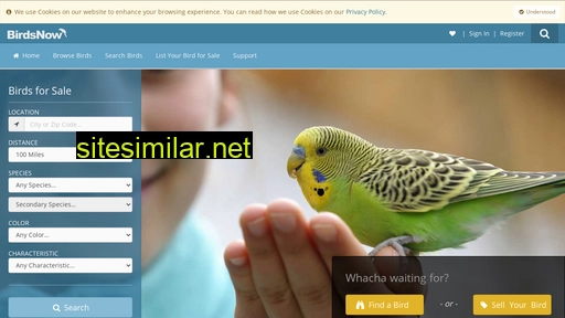 birdsnow.com alternative sites