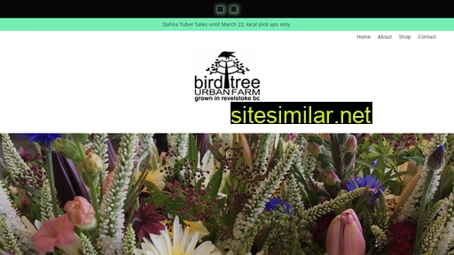 birdtreeurbanfarm.com alternative sites