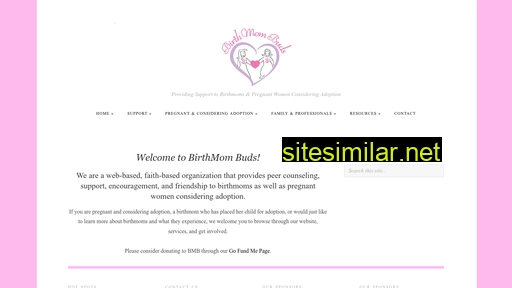 birthmombuds.com alternative sites