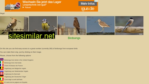 Bird-songs similar sites