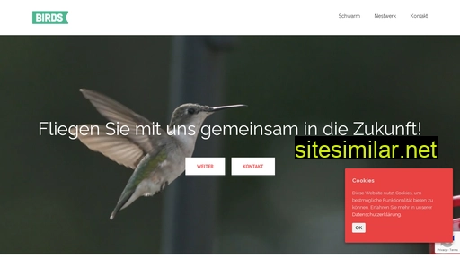 birdsgroup.com alternative sites