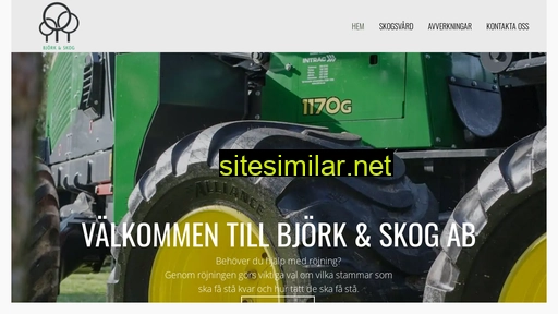 bjorkskog.com alternative sites