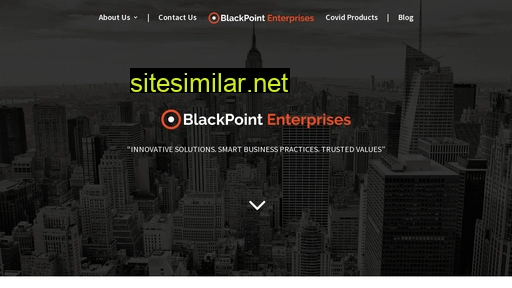 blackpointenterprises.com alternative sites