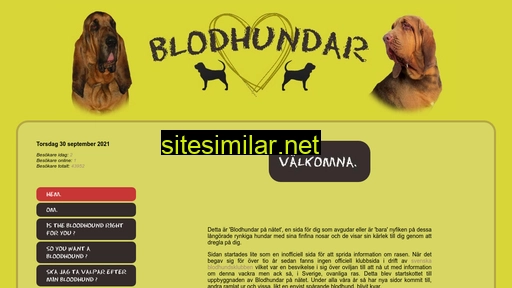 blodhund.com alternative sites