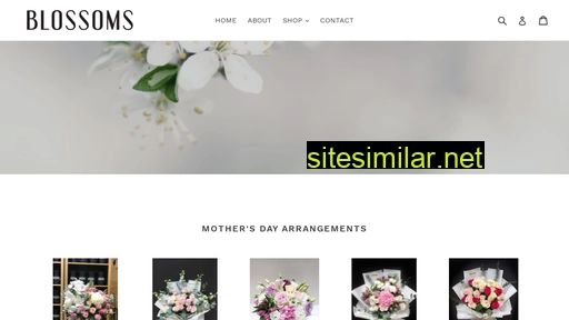 blossomsoman.com alternative sites