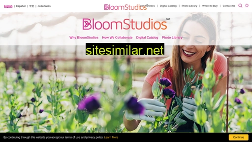 Bloomstudios similar sites