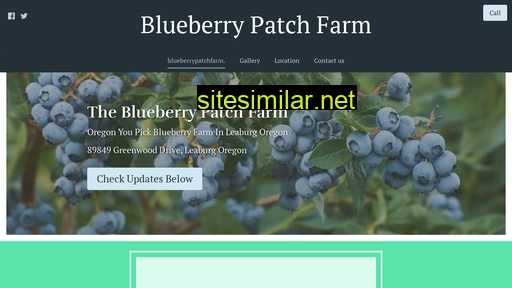 blueberrypatchfarm.com alternative sites