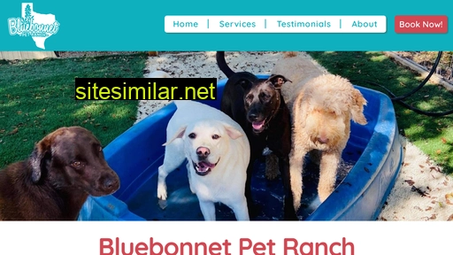 bluebonnetpetranch.com alternative sites