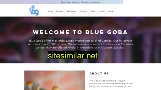 bluegoba.com alternative sites
