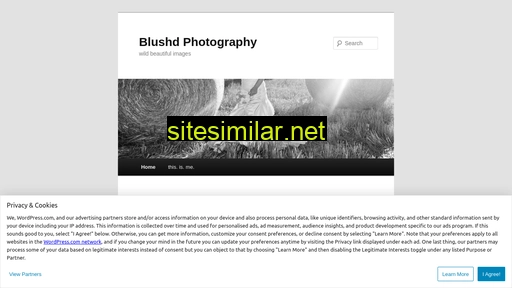 blushd.wordpress.com alternative sites