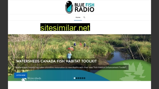 bluefishradio.com alternative sites