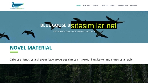 bluegoosebiorefineries.com alternative sites